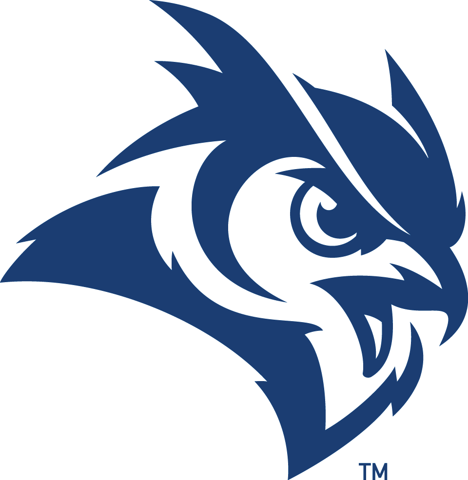 Rice Owls 2017-Pres Secondary Logo iron on paper